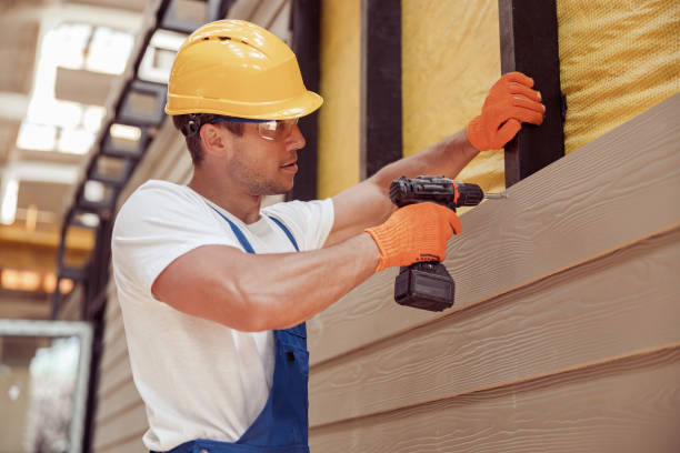 Best Siding Painting and Refinishing  in Difficult Run, VA